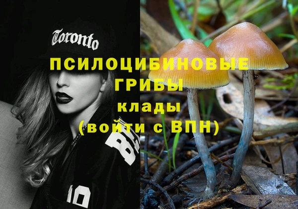 mix Кукмор
