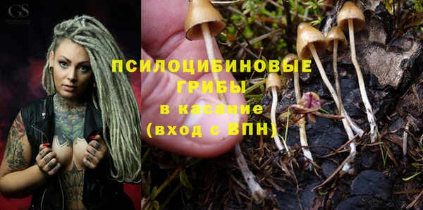 кристаллы Лагань