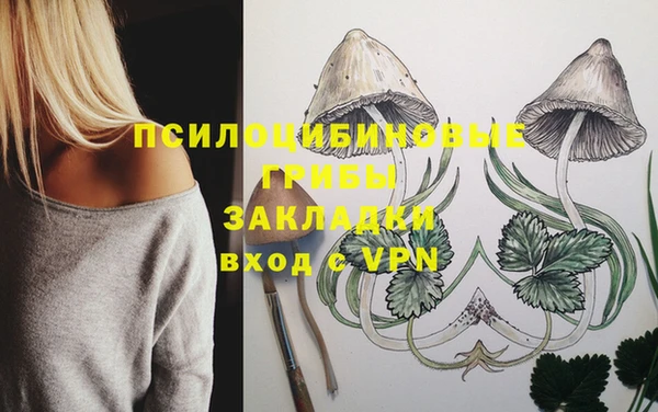 спайс Лабытнанги