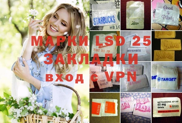 гашик Ладушкин